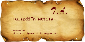 Tulipán Attila névjegykártya