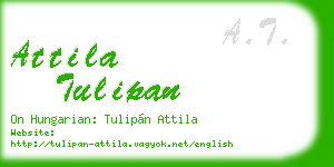 attila tulipan business card