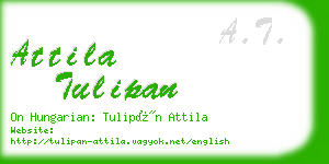 attila tulipan business card